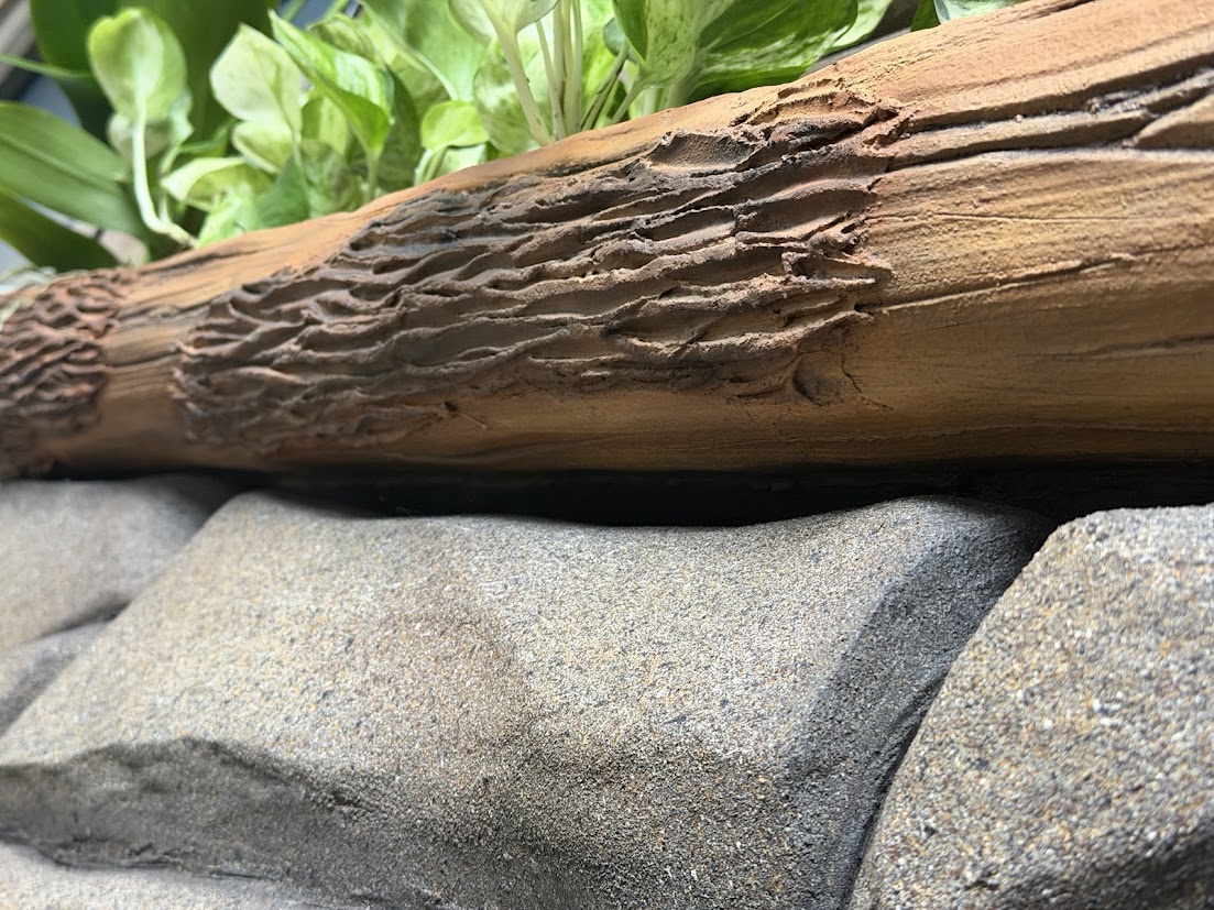 Close view of bark-like texture meeting sculpted stone relief