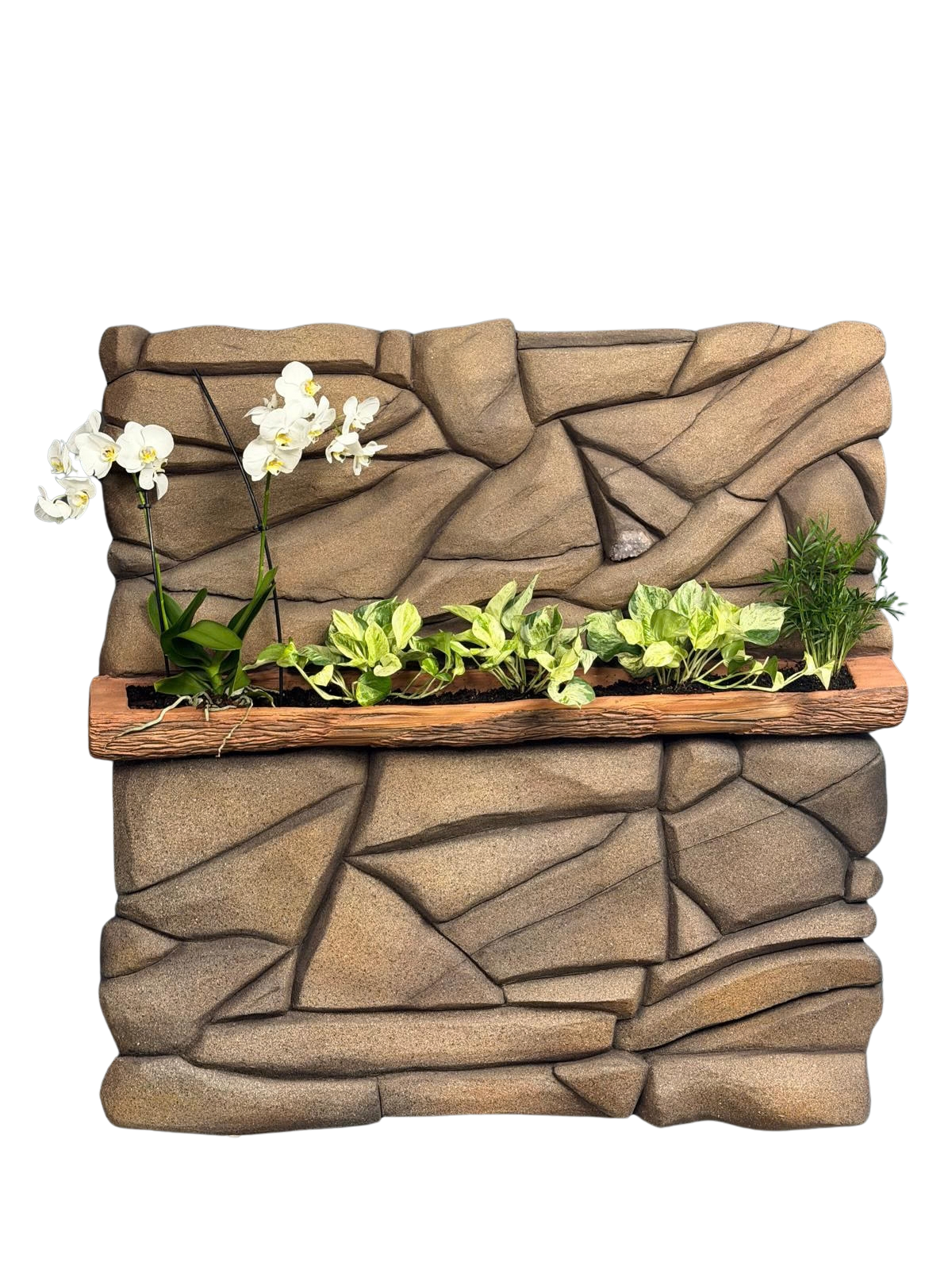 Sculptural wall panel with stone-like relief, a wood-textured planter, green foliage and white orchids